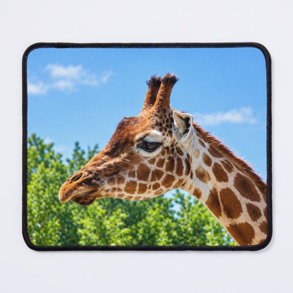 Item preview, Gentle Giant, A Close-up Portrait Against the Blue Sky designed and sold by Astute-Artio-Photography.