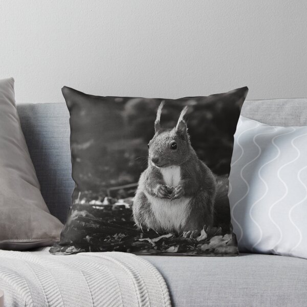 Item preview, Red Squirrel In Grey designed and sold by Eidetic Photos.