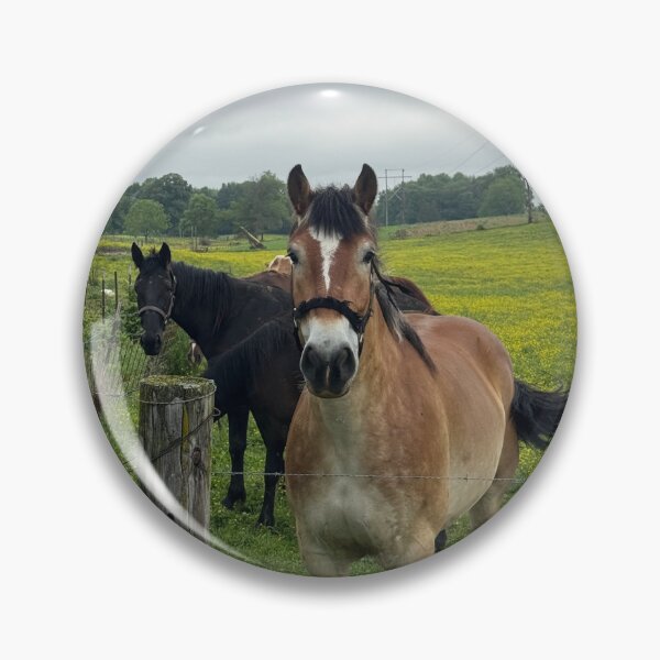 Item preview, Horses of Indiana  designed and sold by bakerbunni.