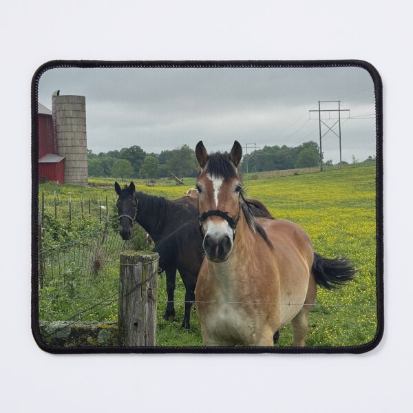 Item preview, Horses of Indiana designed and sold by bakerbunni.