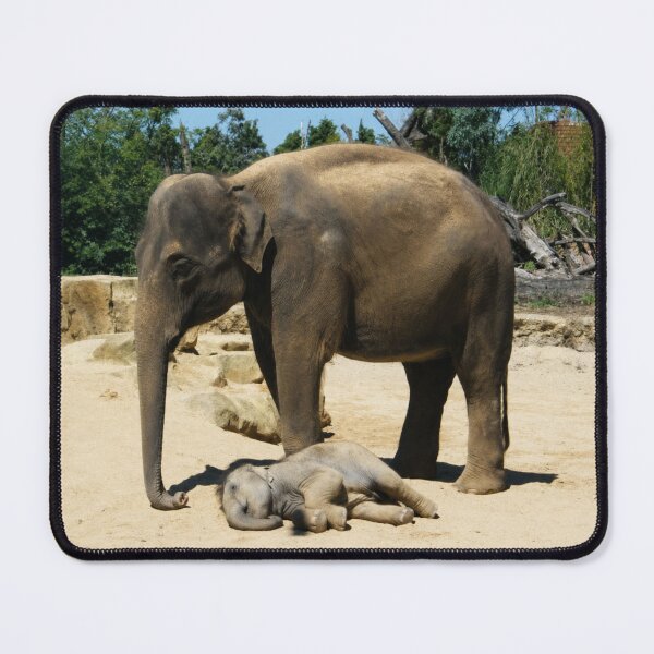Item preview, Gentle Protection, Mother and Baby Elephant designed and sold by Astute-Artio-Photography.