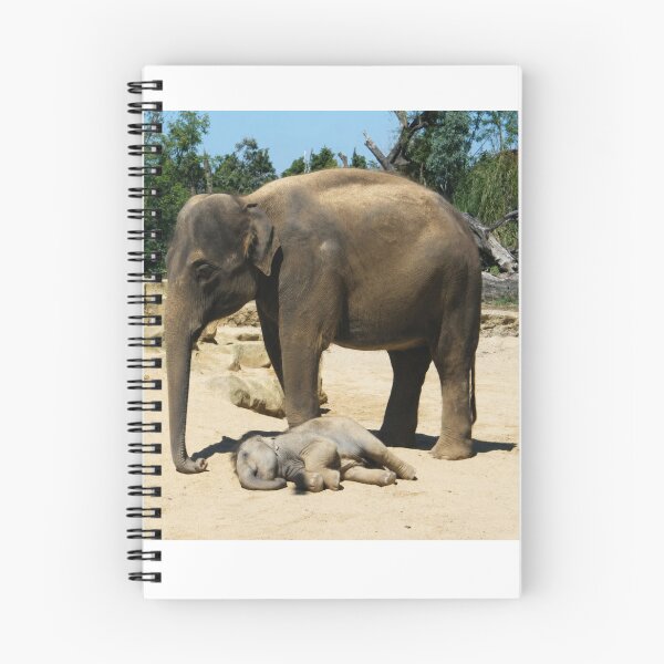 Item preview, Gentle Protection, Mother and Baby Elephant designed and sold by Astute-Artio-Photography.