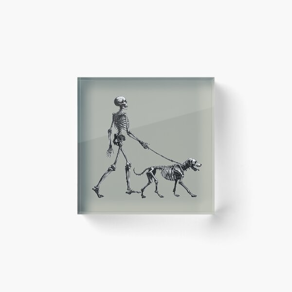 Item preview, Skeleton Walking Skeleton Dog On Leash  designed and sold by Lady-K-.