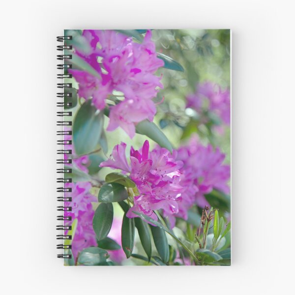 Item preview, Vibrant Pink Rhododendron Floral Photography designed and sold by SOdonata.