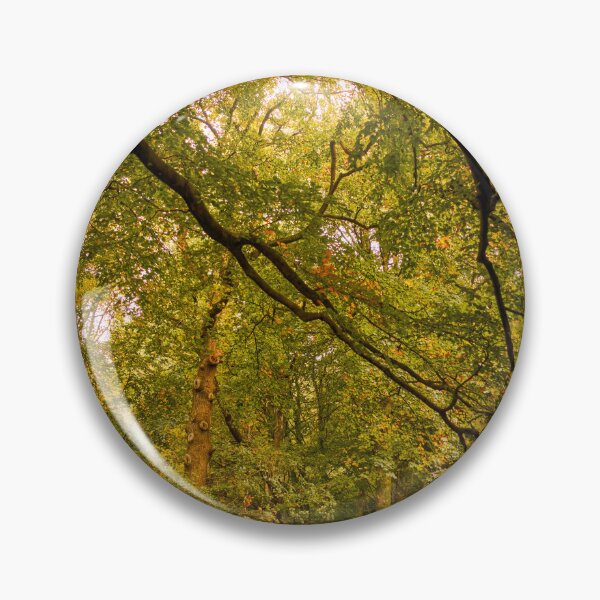 Item preview, Autumn Colours in Woodland Trees designed and sold by VnGphoto.