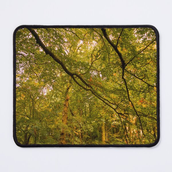 Item preview, Autumn Colours in Woodland Trees designed and sold by VnGphoto.