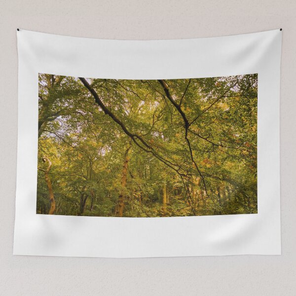 Item preview, Autumn Colours in Woodland Trees designed and sold by VnGphoto.