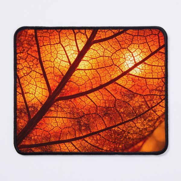 Item preview, Intricate macro detail of a translucent autumn leaf with glowing veins designed and sold by homydesign.