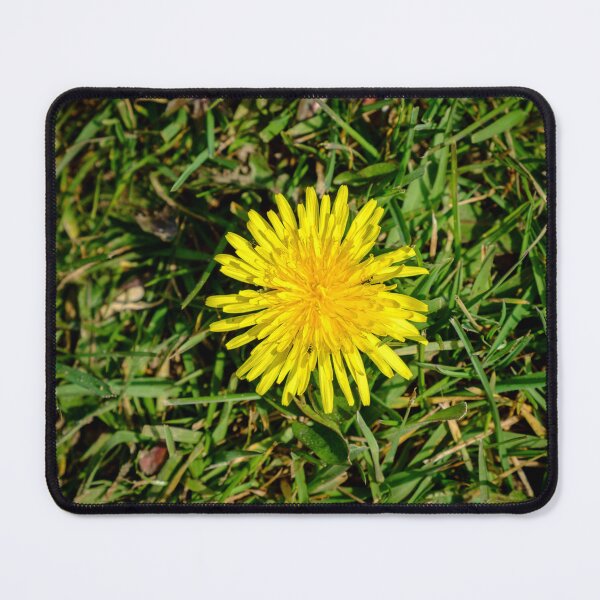 Item preview, Dandelion designed and sold by Lawrence Woolston.