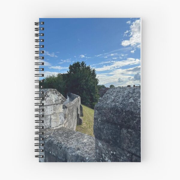Item preview, Ancient Pathways, Walking the Historic York City Walls designed and sold by Astute-Artio-Photography.
