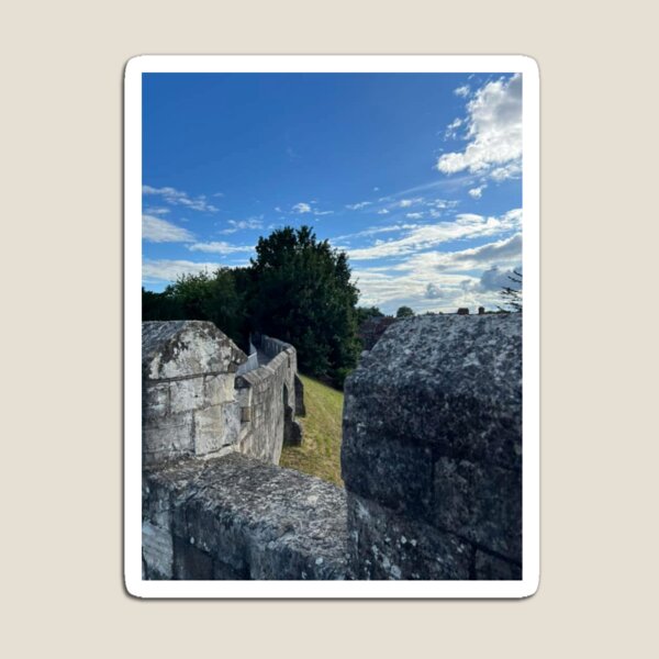 Item preview, Ancient Pathways, Walking the Historic York City Walls designed and sold by Astute-Artio-Photography.