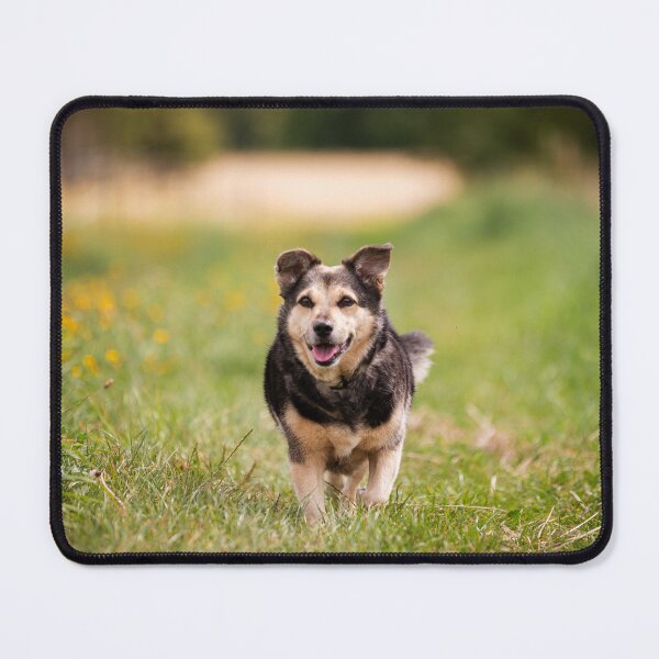 Item preview, Happy Dog in the Meadow designed and sold by alicjamiekina.
