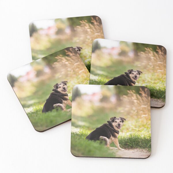 Item preview, Looking Back – Dog on a Country Path designed and sold by alicjamiekina.