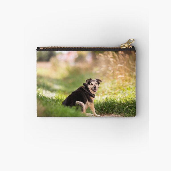 Item preview, Looking Back – Dog on a Country Path designed and sold by alicjamiekina.