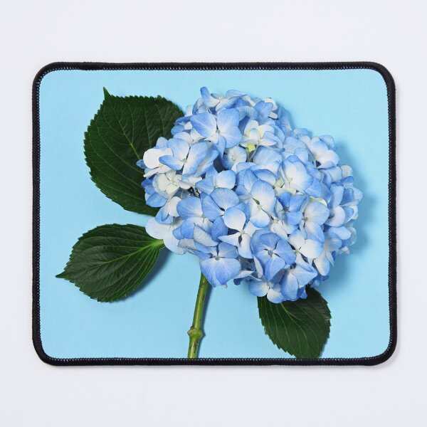 Item preview, Beautiful blue hydrangea designed and sold by Anna Khomulo.