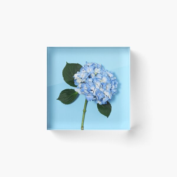 Item preview, Beautiful blue hydrangea designed and sold by Anna Khomulo.