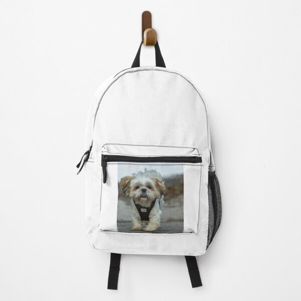 Item preview, Funny Running Shih Tzu Showing Teeth designed and sold by VanGaldo.