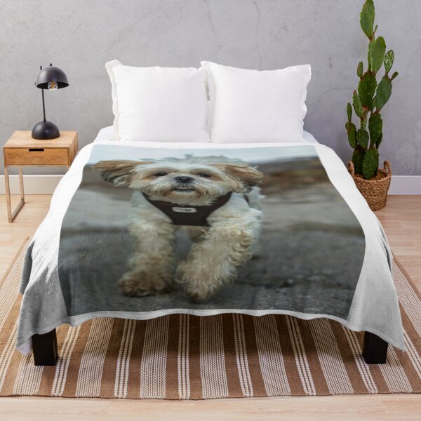 Item preview, Funny Running Shih Tzu Showing Teeth designed and sold by VanGaldo.