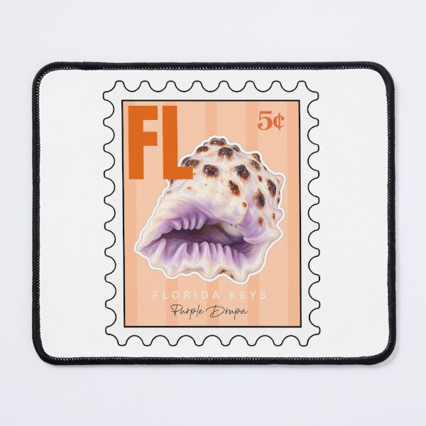 Item preview, Purple Drupa Seashell Sticker designed and sold by shellieco.