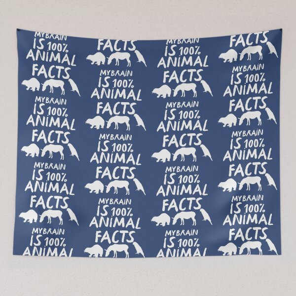 Aperçu de l'œuvre Z comme gardien de zoo, illustration humoristique de gardien de zoo – soins à la faune sauvage créée et vendue par PrettylittlepastelUk.