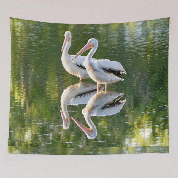 Item preview, White Pelican Pair Reflected in Green Water designed and sold by Kimberly Palmer.