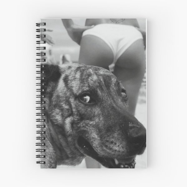 Item preview, The dog days of summer hilarious beach bikini bingo vintage black and white photograph designed and sold by Astrid Arkhangelsky.