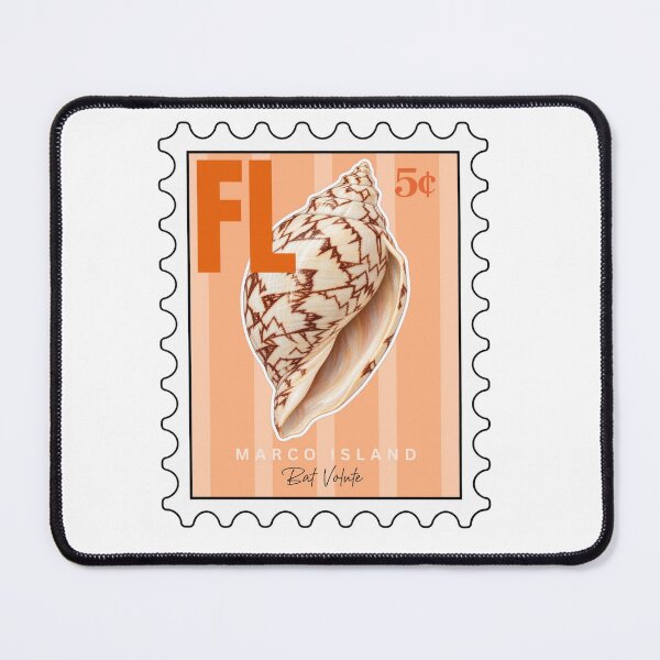 Item preview, Bat Volute Seashell Sticker designed and sold by shellieco.