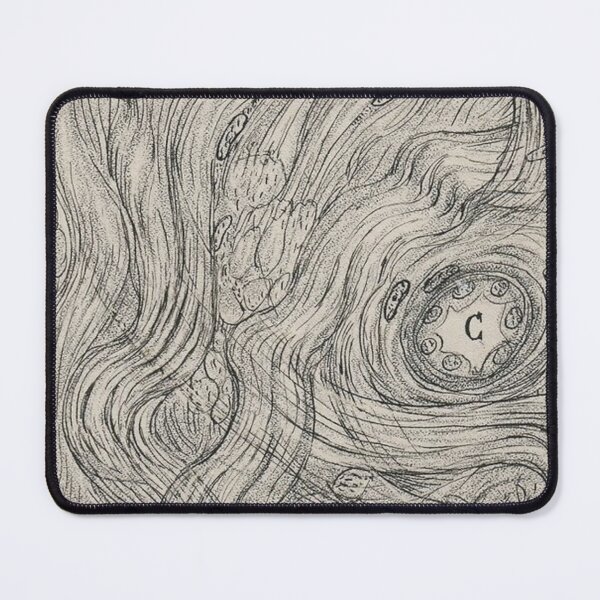 Item preview, A Cut Nerve Outside the Spinal Cord, 1913 — Cajal designed and sold by Jpsmyth.