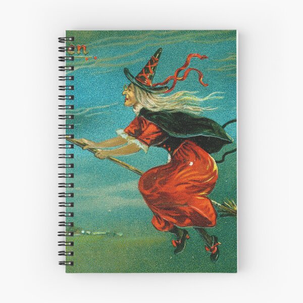 Item preview, Hallowe'en Witch on Broomstick Vintage Postcard, 1910 designed and sold by Exhumed Archives.