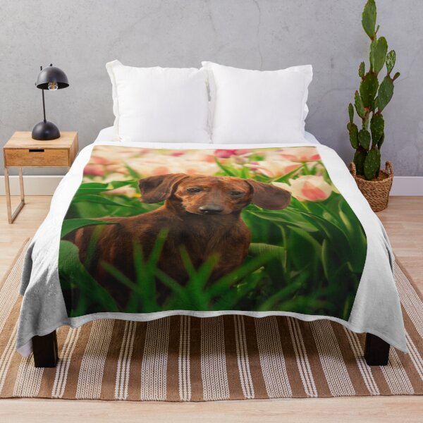 Item preview, Short Haired Dachshund In Tulip Garden designed and sold by VanGaldo.