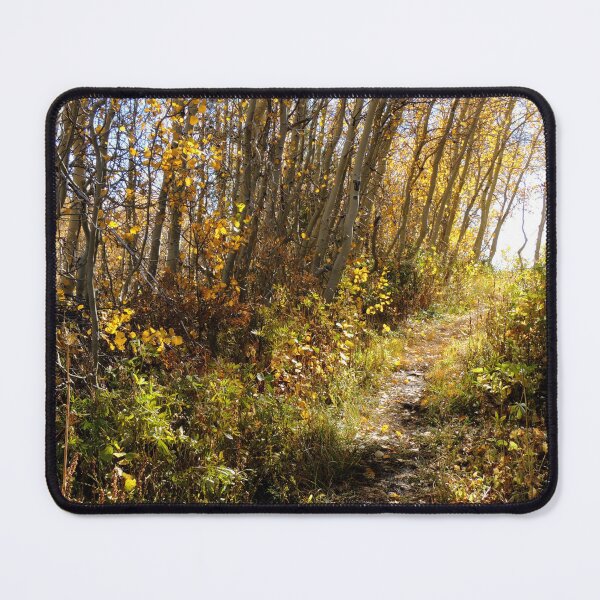 Item preview, Sunlit Autumn Forest designed and sold by Robert Ball.