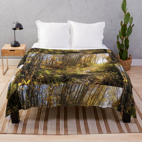 Item preview, Sunlit Autumn Forest designed and sold by Robert Ball.