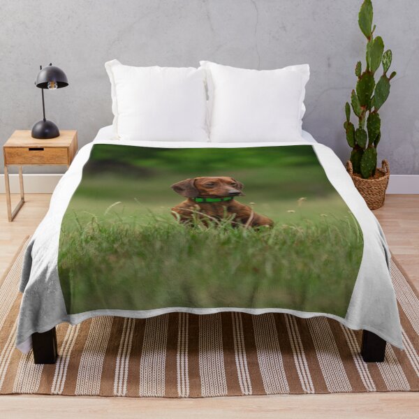 Item preview, Short Haired Dachshund In Green Grass designed and sold by VanGaldo.