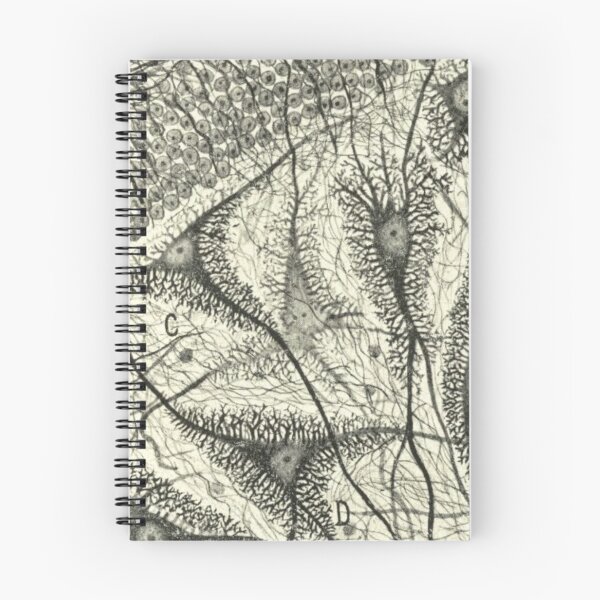 Item preview, Injured Purkinje Neurons of the Cerebellum, 1914 — Cajal designed and sold by Jpsmyth.
