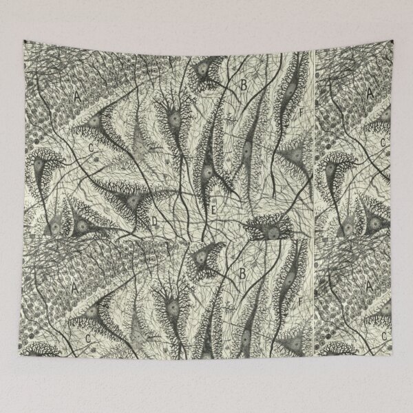 Item preview, Injured Purkinje Neurons of the Cerebellum, 1914 — Cajal designed and sold by Jpsmyth.