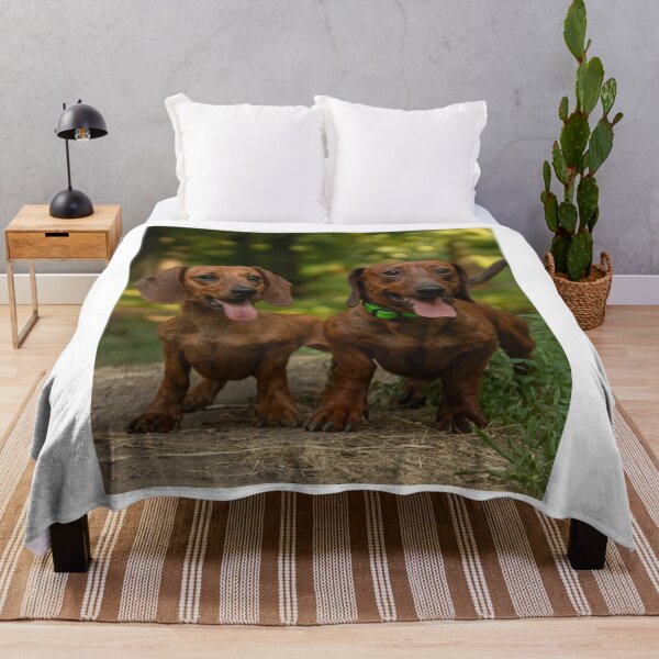 Item preview, Cute Red Dachshunds Outdoor Forest Portrait designed and sold by VanGaldo.