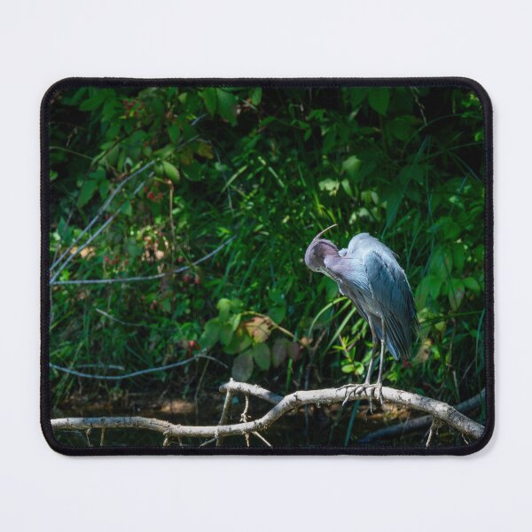 Item preview, Little Blue Heron designed and sold by TinyDinoDesigns.