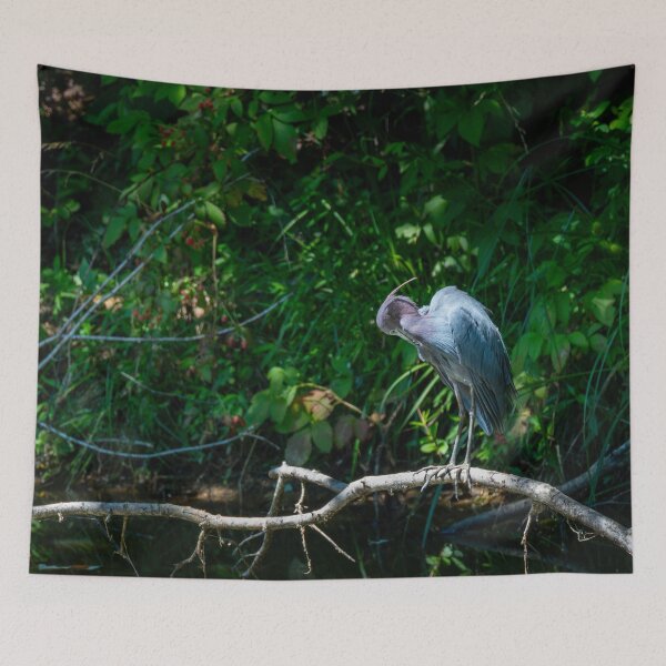 Item preview, Little Blue Heron designed and sold by TinyDinoDesigns.