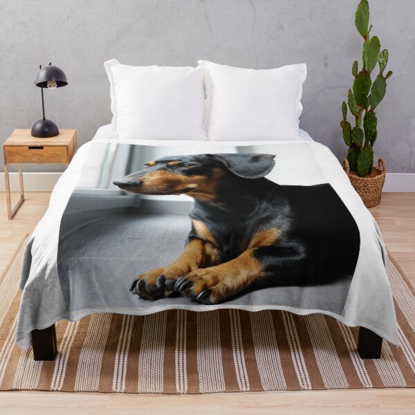 Item preview, Black and Tan Dachshund Side Profile designed and sold by VanGaldo.