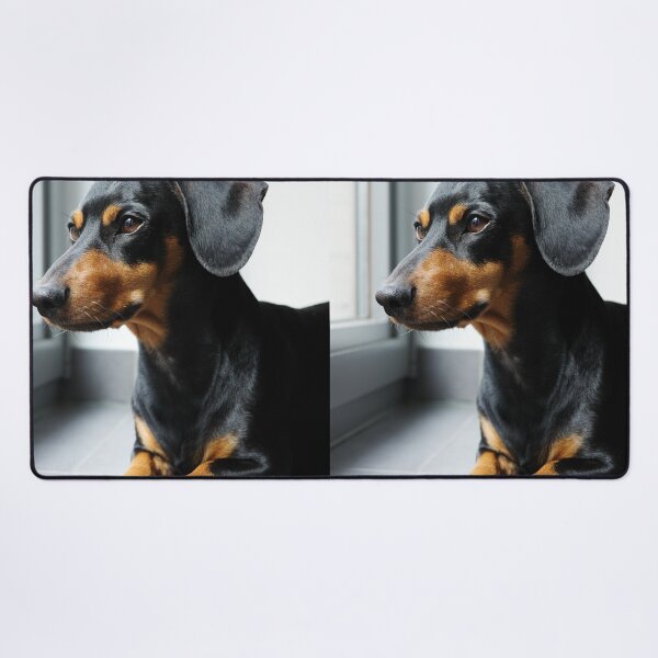 Item preview, Black and Tan Dachshund Side Profile designed and sold by VanGaldo.