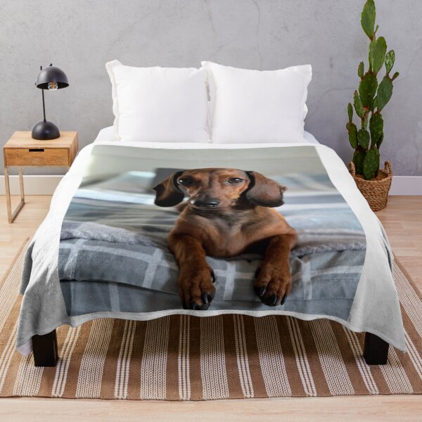 Item preview, Short Haired Red Dachshund Lying Bed designed and sold by VanGaldo.