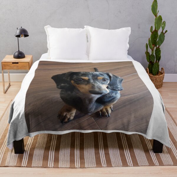 Item preview, Black and Tan Dapple Dachshund Portrait designed and sold by VanGaldo.