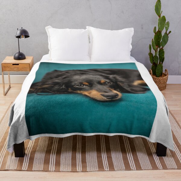 Item preview, Cute Longhaired Dachshund Teal Blue Blanket designed and sold by VanGaldo.