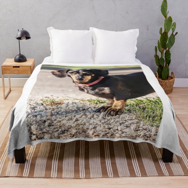 Item preview, Black and Tan Dachshund Dog Standing Outside designed and sold by VanGaldo.