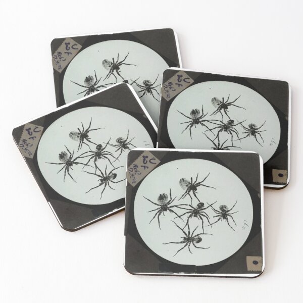 Item preview, Five Spiders — Vintage Magic Lantern Slide designed and sold by Jpsmyth.