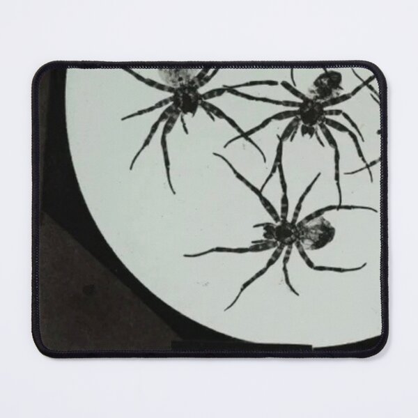 Item preview, Five Spiders — Vintage Magic Lantern Slide designed and sold by Jpsmyth.