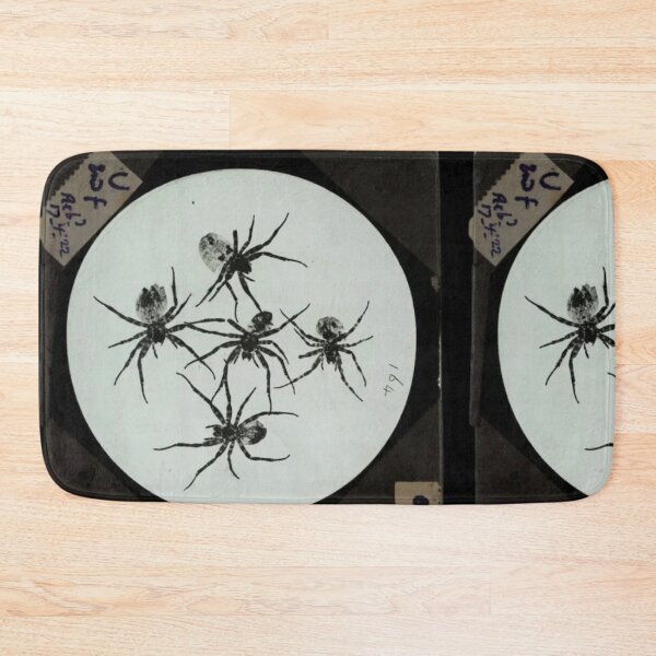 Item preview, Five Spiders — Vintage Magic Lantern Slide designed and sold by Jpsmyth.