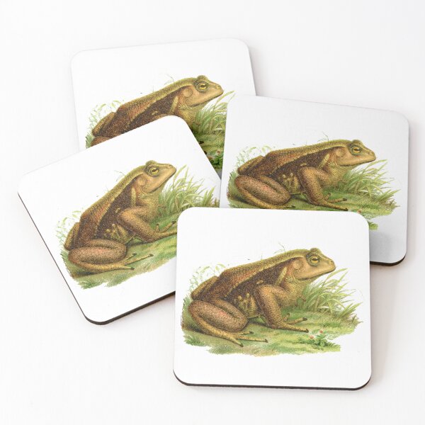 Item preview, Common reed frog antique illustration designed and sold by Anne Londez Studio.