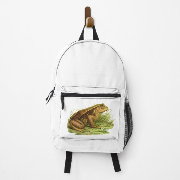 Item preview, Common reed frog antique illustration designed and sold by Anne Londez Studio.