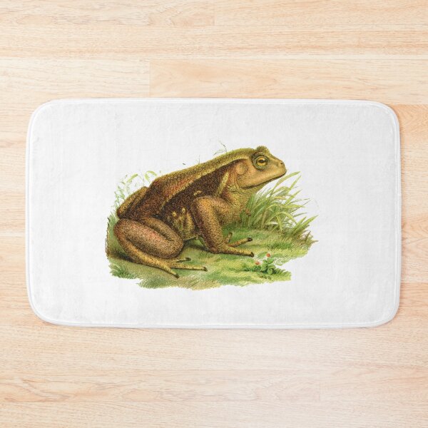 Item preview, Common reed frog antique illustration designed and sold by Anne Londez Studio.